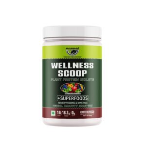 Wellness Scoop Plant Protein Isolate With Super Food 400g