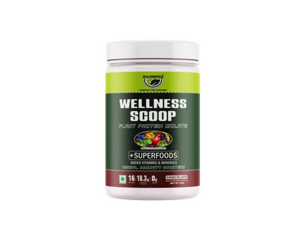 Wellness Scoop Plant Protein Isolate With Super Food 400g